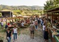 Festa del Fungo Porcino 2026 a Velletri, date e concerti
